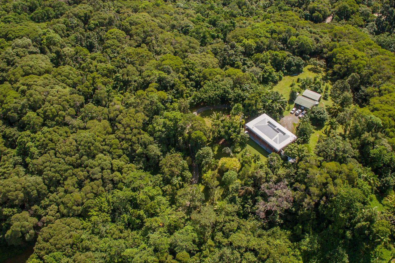 Daintree Manor B&B Екстериор снимка