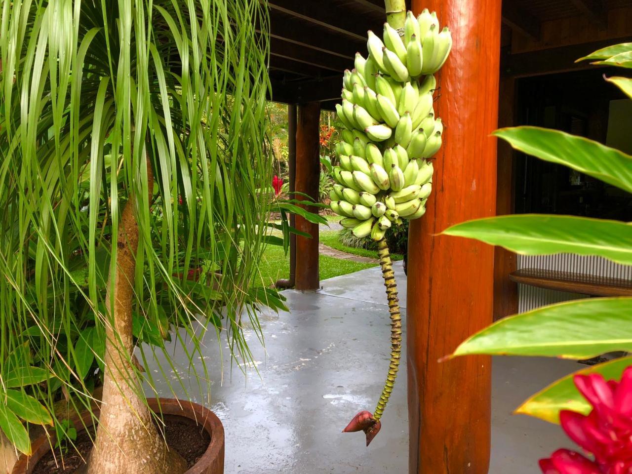 Daintree Manor B&B Екстериор снимка