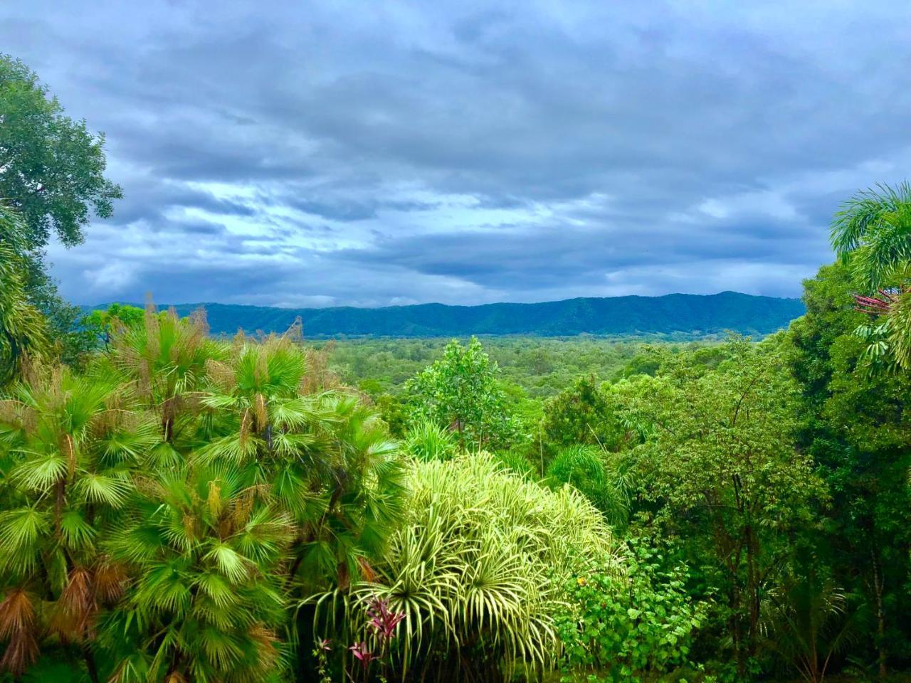 Daintree Manor B&B Екстериор снимка